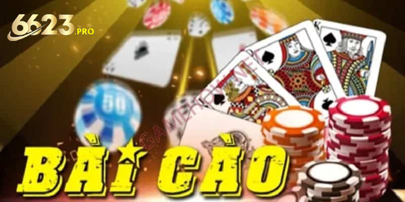 Bai cao 3