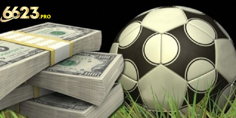 Những lưu ý quan trọng khi tham gia cá độ bóng đá online hiện nay