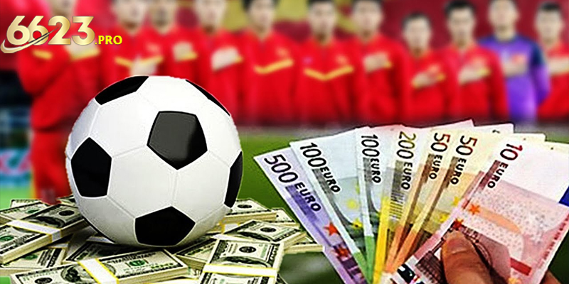 Hướng dẫn chi tiết cách cá độ bóng đá trực tuyến cho người mới