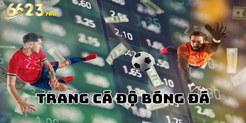 Những lưu ý quan trọng khi tham gia các trang cá cược bóng đá online