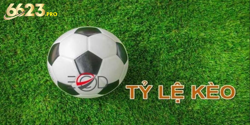 Cập nhật tỷ lệ cá cược bóng đá nhanh chóng và chính xác nhất
